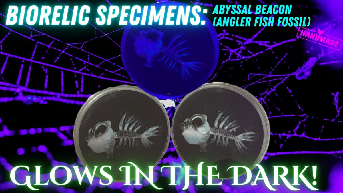 BioRelic Specimen: Abyssal Beacon (Glowing Angler) – alternate view