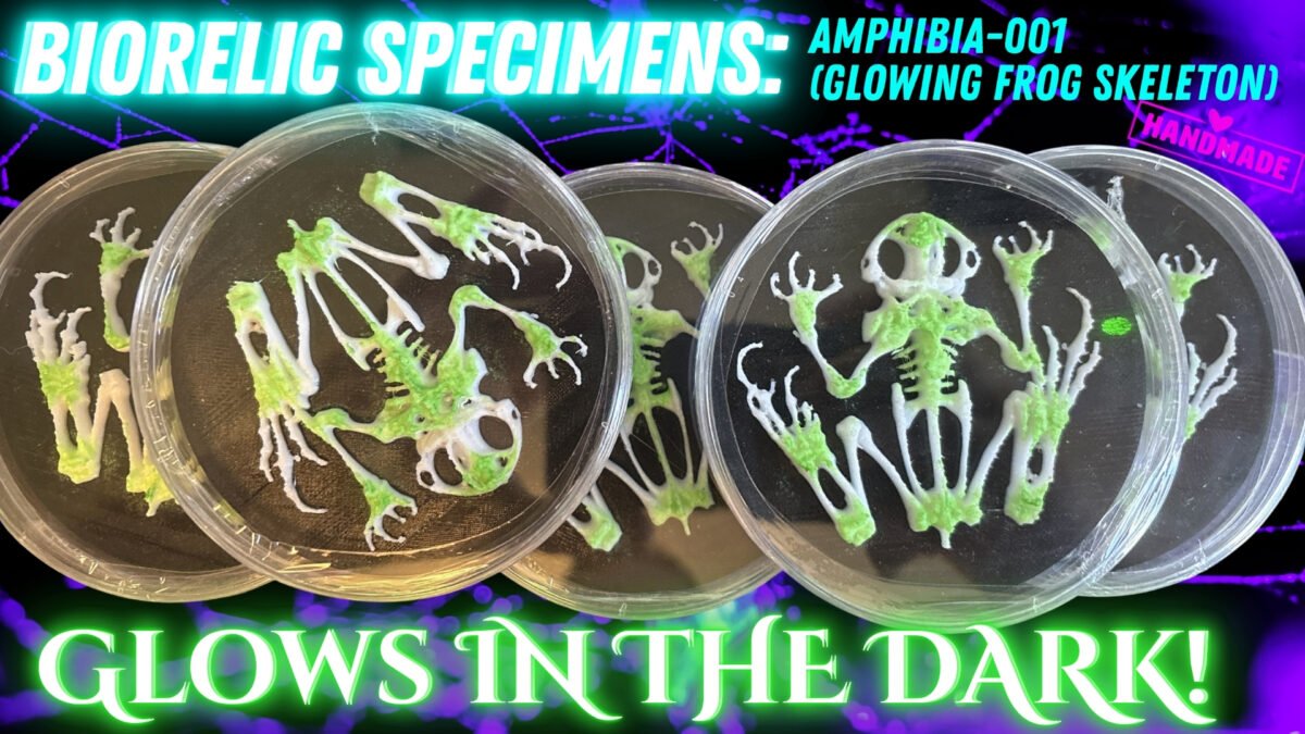 BioRelic Specimen: Amphibia-001 (Glowing Frog Skeleton) – alternate view