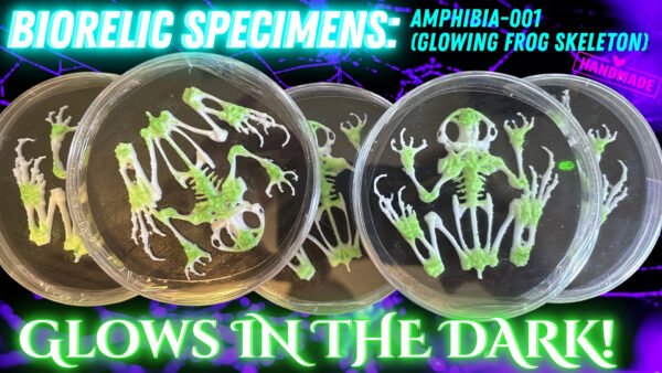 BioRelic Specimen: Amphibia-001 (Glowing Frog Skeleton)
