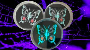 BioRelic Specimen: Bonewind Lepid (Glowing Butterfly)