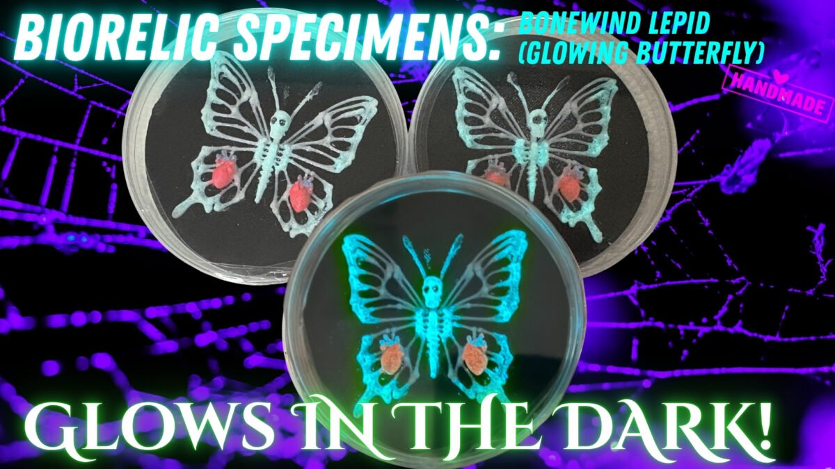 BioRelic Specimen: Bonewind Lepid (Glowing Butterfly) – alternate view