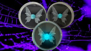 BioRelic Specimen: Deathmoth Seraph (Glowing Moth)