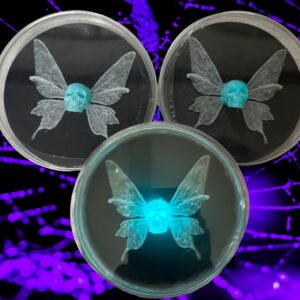 BioRelic Specimens - DeathmothSeraph-V0 BioRelic Specimen: Deathmoth Seraph (Glowing Moth)