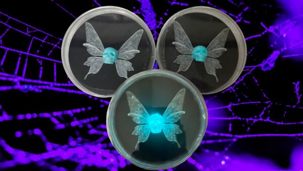 BioRelic Specimen: Deathmoth Seraph (Glowing Moth)