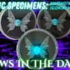 BioRelic Specimen: Deathmoth Seraph (Glowing Moth)