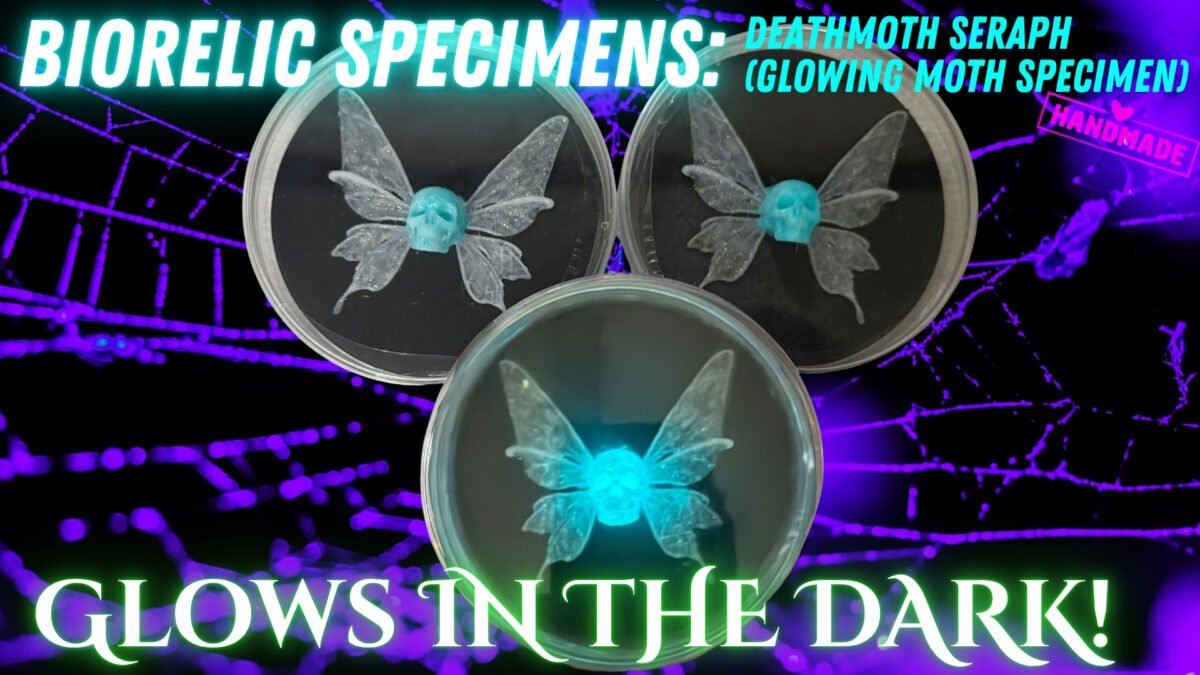 BioRelic Specimen: Deathmoth Seraph (Glowing Moth) – alternate view