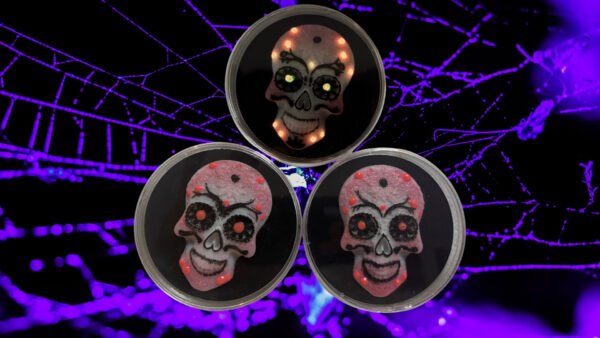 BioRelic Specimen: Luminspire Skull