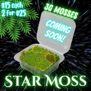 3G-Moss - Star Moss Coming Soon 3G-MOSSES: Star Moss Pod