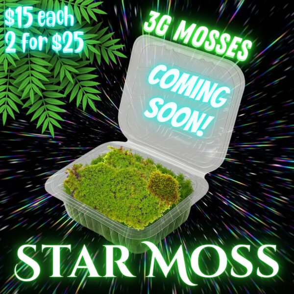 3G-MOSSES: Star Moss Pod