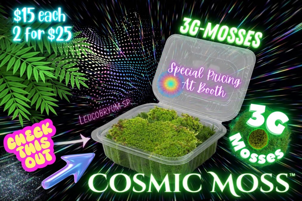 3G-MOSSES: Cosmic Moss™ Pod – alternate view