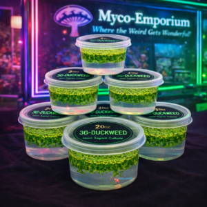 3G-Duckweed [2-oz] (Starter Sprout Cup)