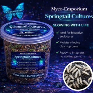 Myco-Emporium Springtail Culture