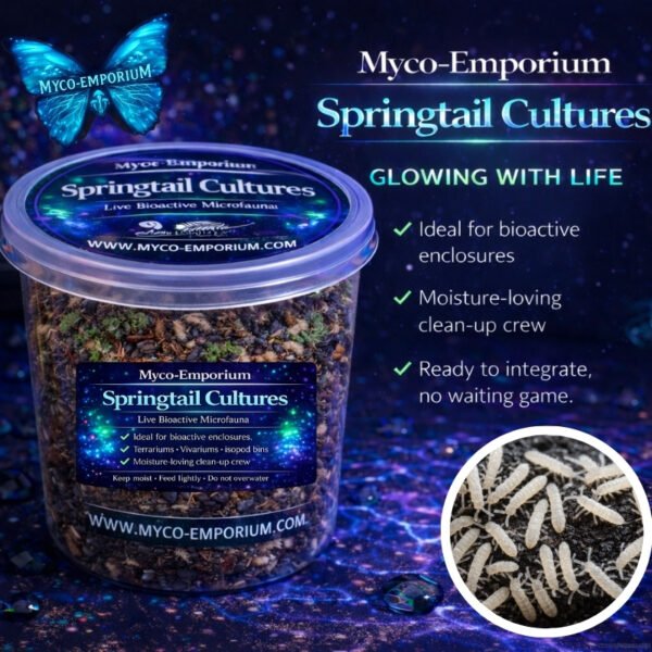 Springtails-Ready-1 Myco-Emporium Springtail Culture