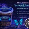 Springtails-Ready-2 Myco-Emporium Springtail Culture