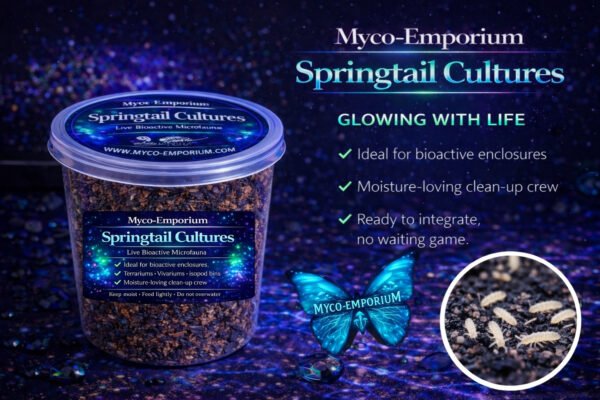 Springtails-Ready-2 Myco-Emporium Springtail Culture