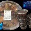 Springtails-Ready-3 Myco-Emporium Springtail Culture