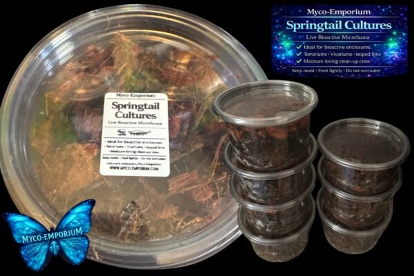 Springtails-Ready-3 Myco-Emporium Springtail Culture