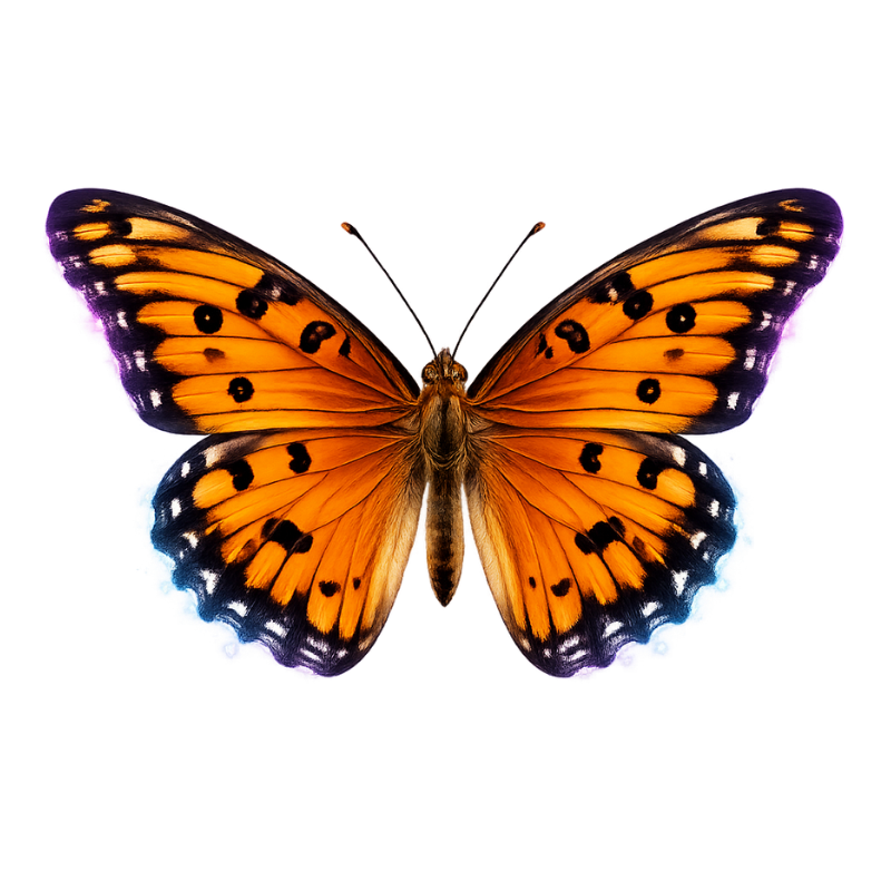 Transcended Specimen Icon