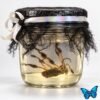 Myco-EMP Oddity-Jar (Banana Spider) I-01 Oddity Jar (Banana Spider) - Wet Specimen